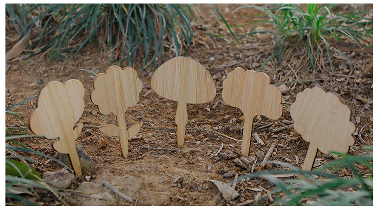 bamboomake.cn Bamboo plant label 250506 (3).jpg